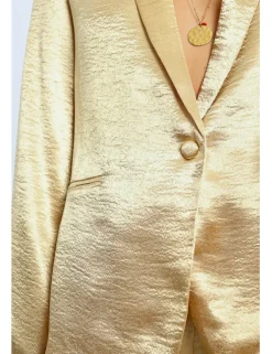 Blazer con cuello solapa en color metalizado