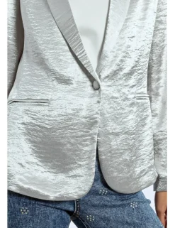 Blazer con cuello solapa en color metalizado