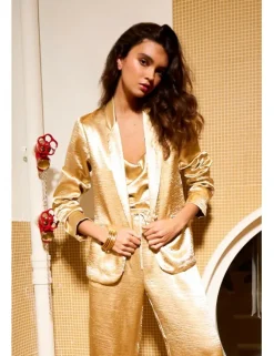Blazer con cuello solapa en color metalizado