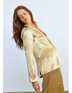 Blazer con cuello solapa en color metalizado